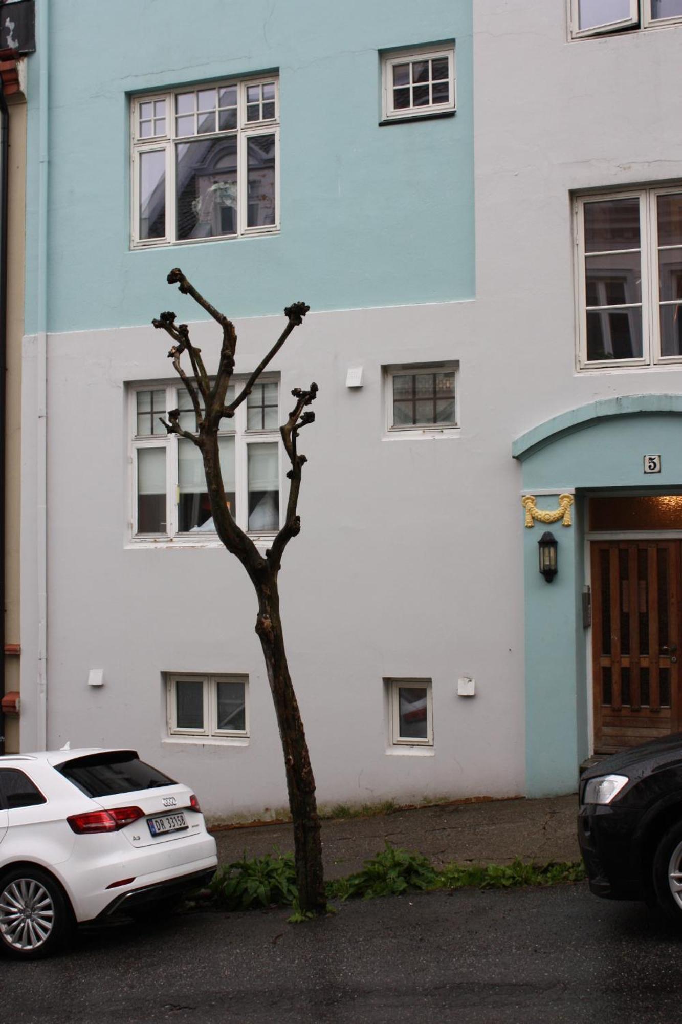 Eco Apartament W Ålesund Kültér fotó
